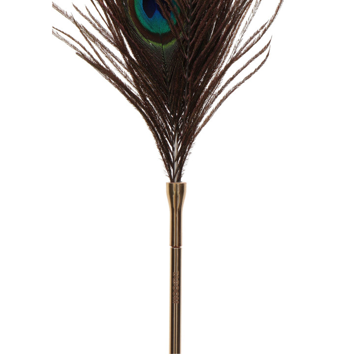 Peacock Tickler