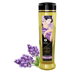 Shunga massage oil sensation lavender