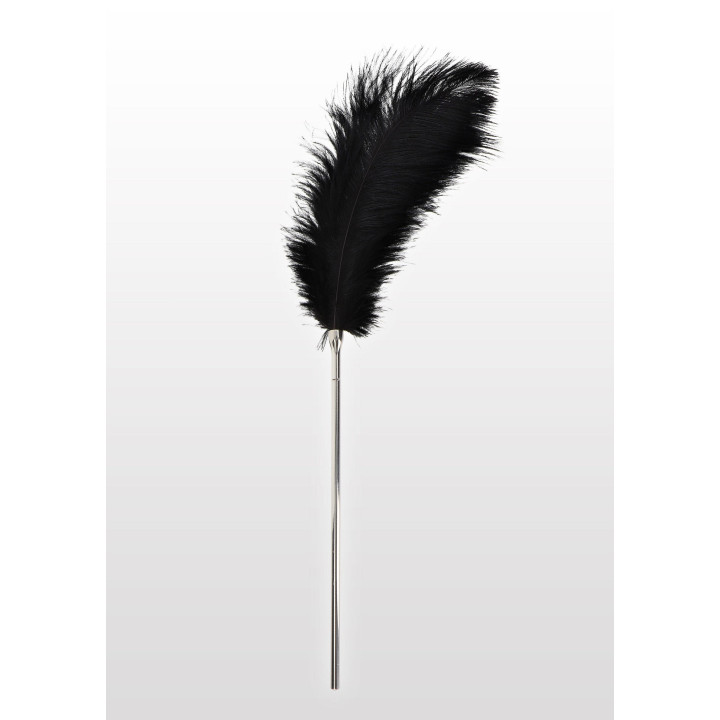 Feather Tickler