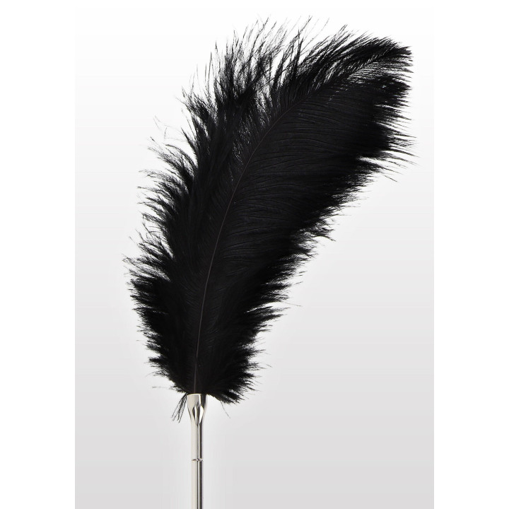 Feather Tickler