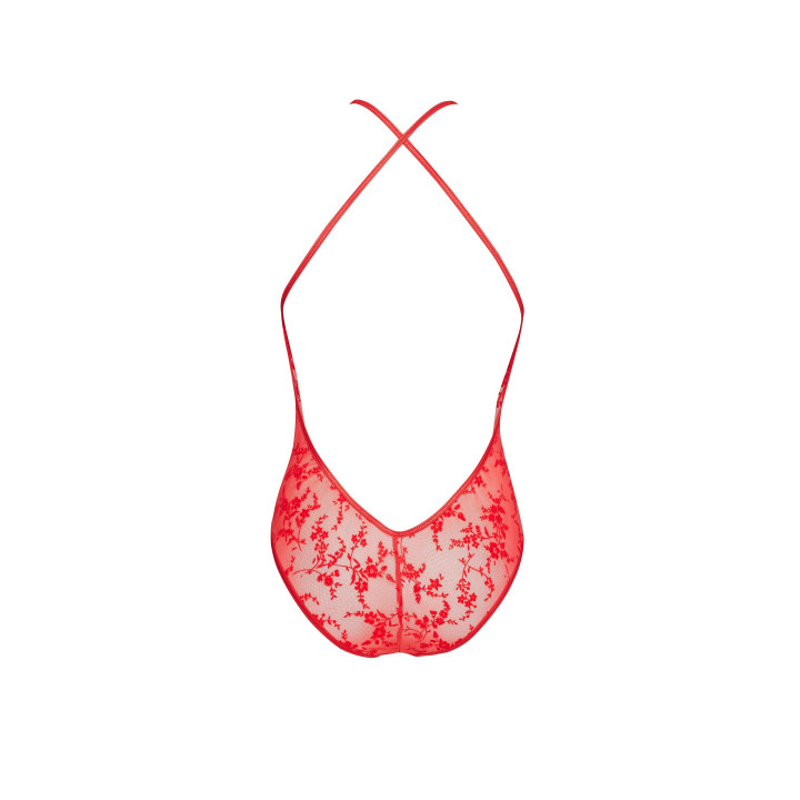 Anthea teddy